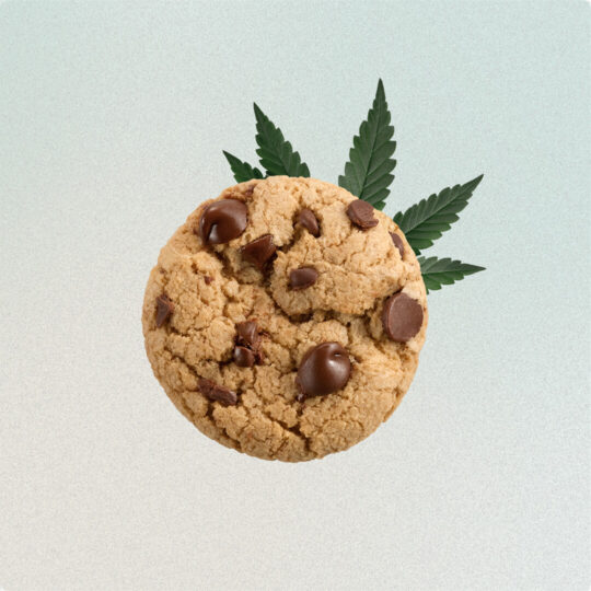 A chocolate chip cookie with cannabis leaves behind it.