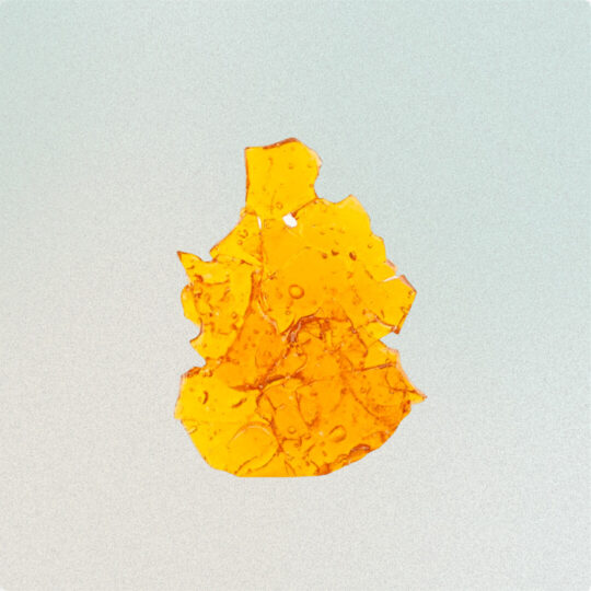 Close-up of a small piece of amber or resin against a light background.